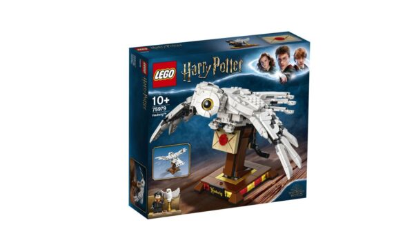 LEGO Harry Potter Hogwarts Hedwig 75979